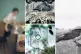 (L to R) From Coexistence 2011; from Pigeons 2012; from Talk