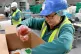 UNION CONCERN: Staff pack delivery boxes at Morrisons food p