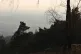 View from Leith Hill of Surrey Hills