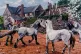 TIMES GONE BY: Ponnies fro sale, Isaac and Chris Evans at th